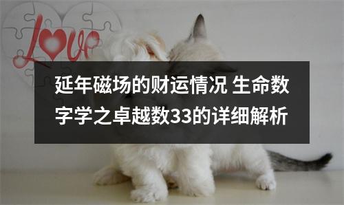 延年磁场的财运情况 生命数字学之卓越数33的详细解析