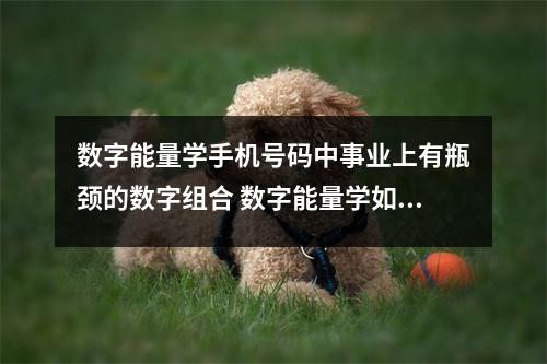 数字能量学手机号码中事业上有瓶颈的数字组合 数字能量学如何从号码中看出一个人讲话的习惯