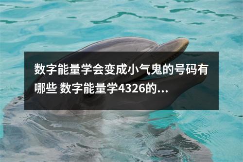 数字能量学会变成小气鬼的号码有哪些 数字能量学4326的工作特质