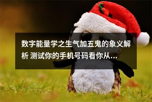 数字能量学之生气加五鬼的象义解析 测试你的手机号码看你从事炒股彩票等风险行业是赚