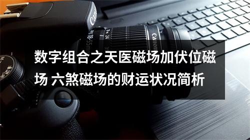 数字组合之天医磁场加伏位磁场 六煞磁场的财运状况简析