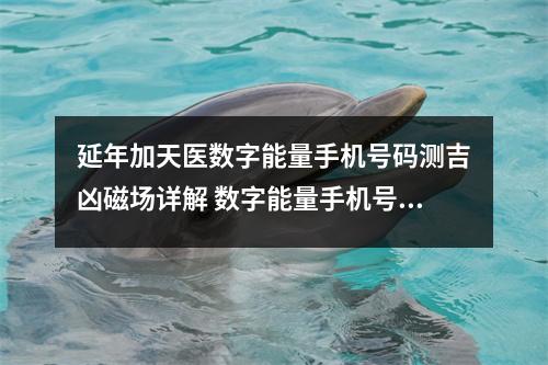 延年加天医数字能量手机号码测吉凶磁场详解 数字能量手机号码中数字之间有制约就可以了吗
