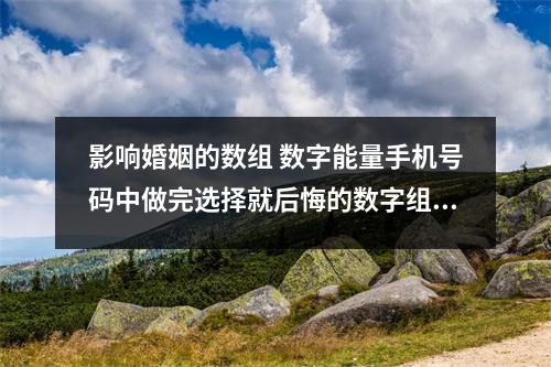 影响婚姻的数组 数字能量手机号码中做完选择就后悔的数字组合