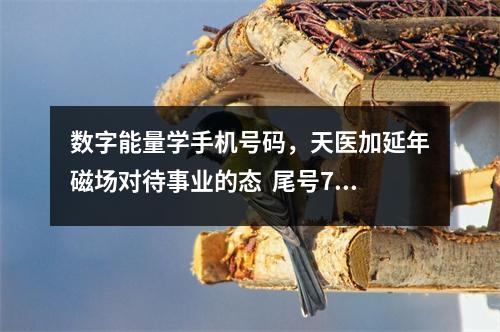 数字能量学手机号码，天医加延年磁场对待事业的态  尾号7777手机号价格