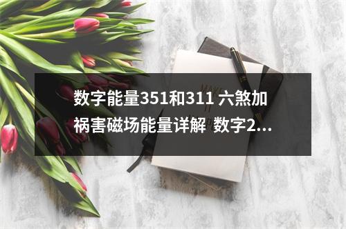 数字能量351和311 六煞加祸害磁场能量详解  数字27能量小 手机号码中“升职涨工资”的数字