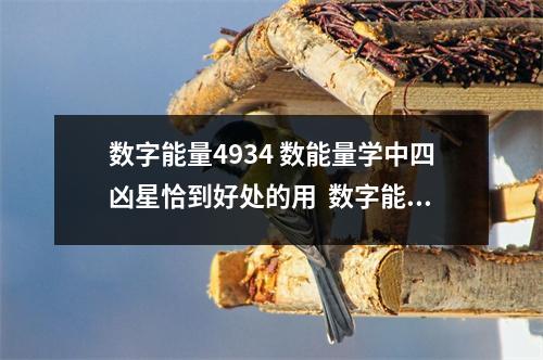 数字能量4934 数能量学中四凶星恰到好处的用  数字能量明镜 根据数字易经能量学来选吉祥号码详