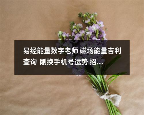 易经能量数字老师 磁场能量吉利查询  刚换手机号运势 招财转运的手机号组