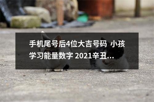 手机尾号后4位大吉号码  小孩学习能量数字 2021辛丑年，你要规避的手