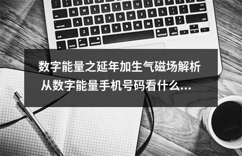 数字能量之延年加生气磁场解析  从数字能量手机号码看什么样的人值得你跟他合作？