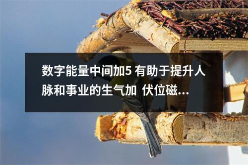 数字能量中间加5 有助于提升人脉和事业的生气加  伏位磁场电话号码能量组合）