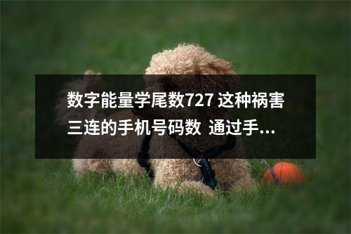 数字能量学尾数727 这种祸害三连的手机号码数  通过手机号码看一生的财富