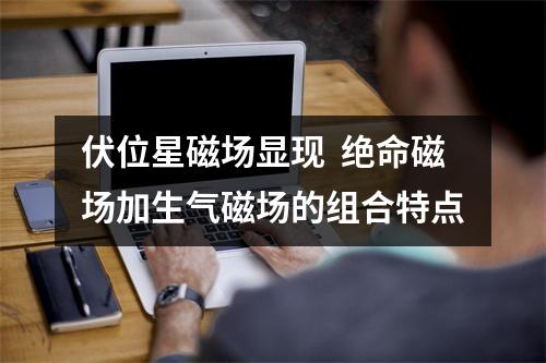 伏位星磁场显现 绝命磁场加生气磁场的组合特点