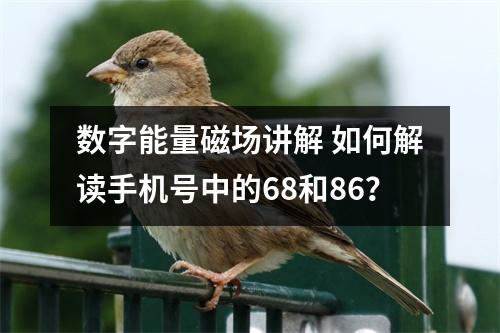 数字能量磁场讲解 如何解读手机号中的68和86？