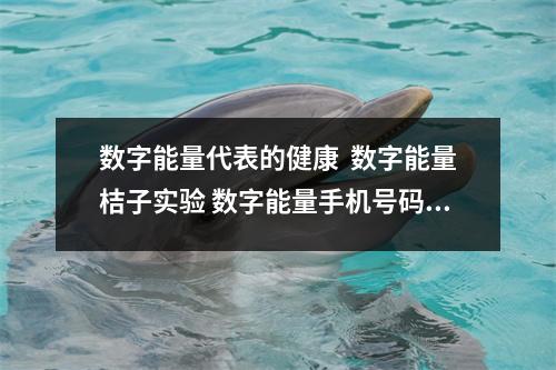 数字能量代表的健康  数字能量桔子实验 数字能量手机号码测吉凶磁场详