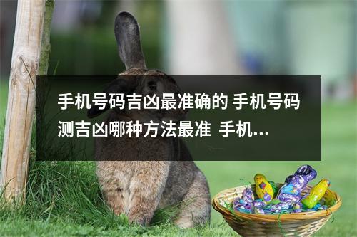 手机号码吉凶最准确的 手机号码测吉凶哪种方法最准  手机名称有个性的名字,2024年农历二月十八适合结婚吗